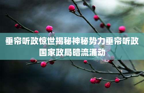 垂帘听政惊世揭秘神秘势力垂帘听政国家政局暗流涌动