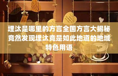 埋汰是哪里的方言全国方言大揭秘竟然发现埋汰竟是如此地道的地域特色用语