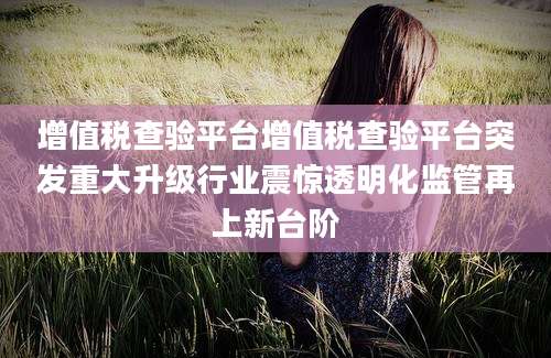 增值税查验平台增值税查验平台突发重大升级行业震惊透明化监管再上新台阶