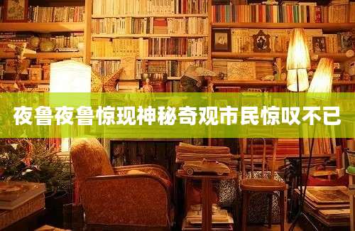夜鲁夜鲁惊现神秘奇观市民惊叹不已