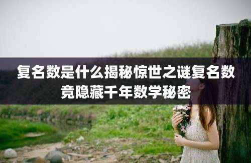 复名数是什么揭秘惊世之谜复名数竟隐藏千年数学秘密