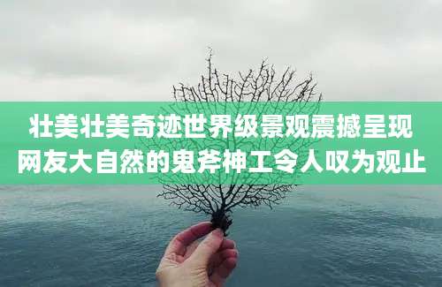 壮美壮美奇迹世界级景观震撼呈现网友大自然的鬼斧神工令人叹为观止