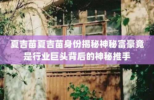 夏吉苗夏吉苗身份揭秘神秘富豪竟是行业巨头背后的神秘推手
