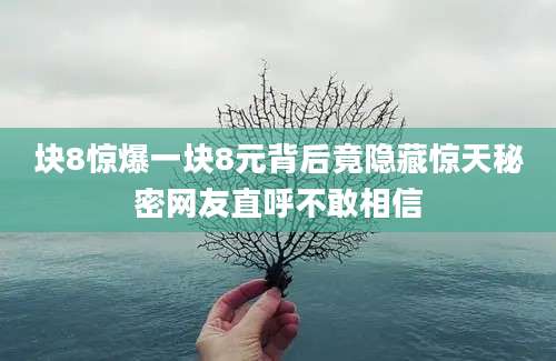 块8惊爆一块8元背后竟隐藏惊天秘密网友直呼不敢相信