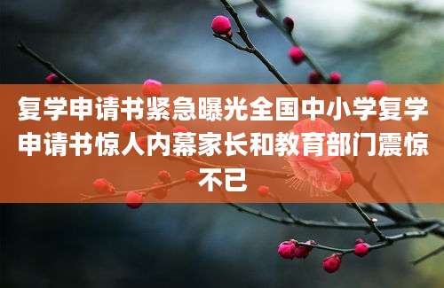 复学申请书紧急曝光全国中小学复学申请书惊人内幕家长和教育部门震惊不已
