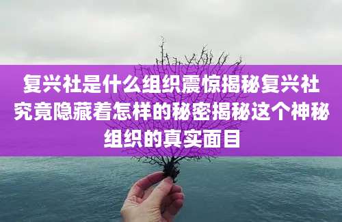 复兴社是什么组织震惊揭秘复兴社究竟隐藏着怎样的秘密揭秘这个神秘组织的真实面目