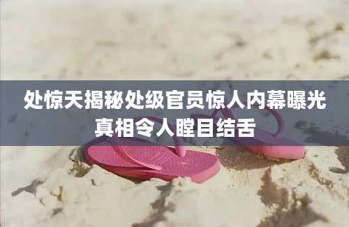 处惊天揭秘处级官员惊人内幕曝光真相令人瞠目结舌