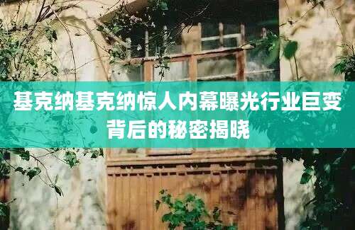 基克纳基克纳惊人内幕曝光行业巨变背后的秘密揭晓