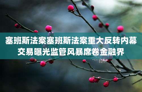 塞班斯法案塞班斯法案重大反转内幕交易曝光监管风暴席卷金融界
