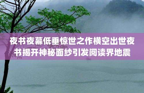 夜书夜幕低垂惊世之作横空出世夜书揭开神秘面纱引发阅读界地震