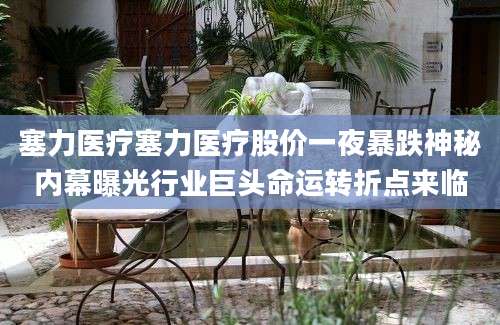 塞力医疗塞力医疗股价一夜暴跌神秘内幕曝光行业巨头命运转折点来临
