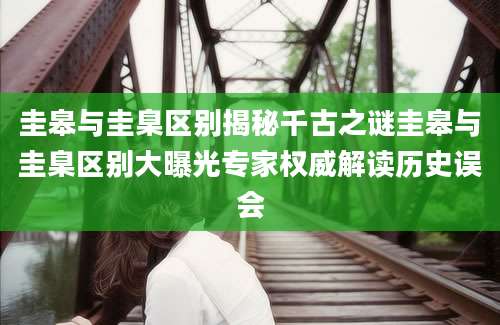 圭皋与圭臬区别揭秘千古之谜圭皋与圭臬区别大曝光专家权威解读历史误会