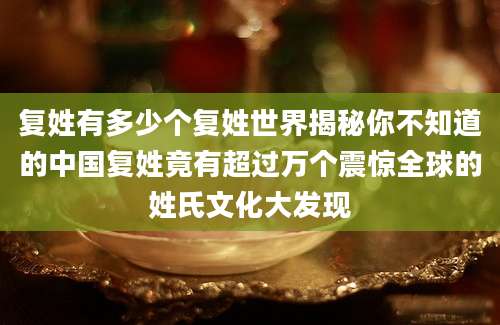 复姓有多少个复姓世界揭秘你不知道的中国复姓竟有超过万个震惊全球的姓氏文化大发现