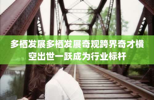 多栖发展多栖发展奇观跨界奇才横空出世一跃成为行业标杆