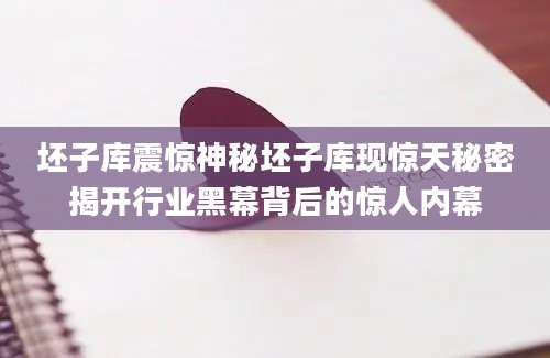 坯子库震惊神秘坯子库现惊天秘密揭开行业黑幕背后的惊人内幕