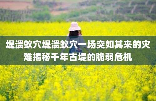 堤溃蚁穴堤溃蚁穴一场突如其来的灾难揭秘千年古堤的脆弱危机