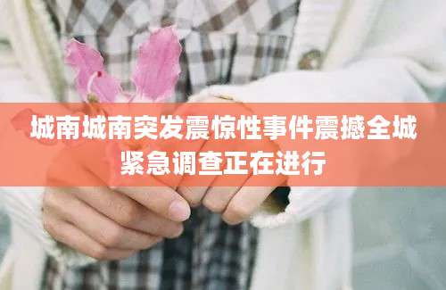城南城南突发震惊性事件震撼全城紧急调查正在进行