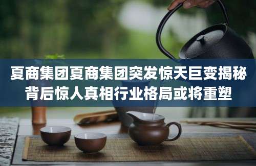 夏商集团夏商集团突发惊天巨变揭秘背后惊人真相行业格局或将重塑
