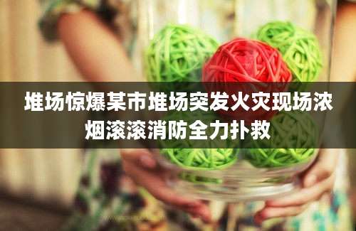 堆场惊爆某市堆场突发火灾现场浓烟滚滚消防全力扑救