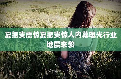 夏振贵震惊夏振贵惊人内幕曝光行业地震来袭