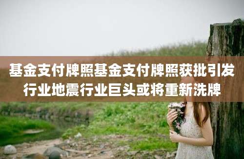 基金支付牌照基金支付牌照获批引发行业地震行业巨头或将重新洗牌
