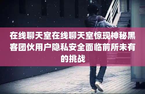在线聊天室在线聊天室惊现神秘黑客团伙用户隐私安全面临前所未有的挑战