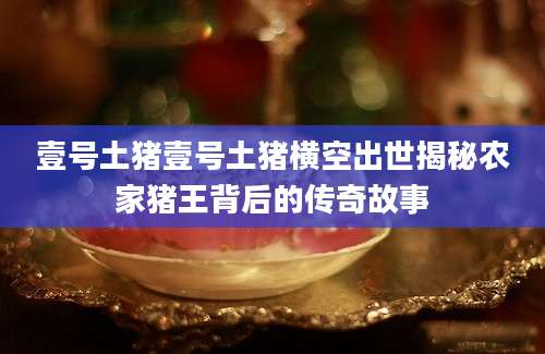 壹号土猪壹号土猪横空出世揭秘农家猪王背后的传奇故事