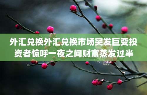 外汇兑换外汇兑换市场突发巨变投资者惊呼一夜之间财富蒸发过半