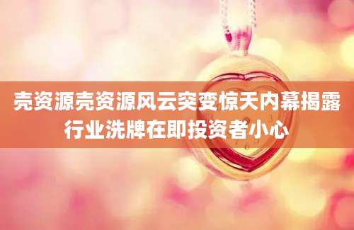 壳资源壳资源风云突变惊天内幕揭露行业洗牌在即投资者小心