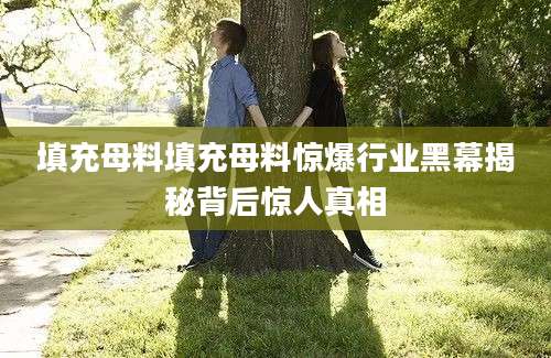 填充母料填充母料惊爆行业黑幕揭秘背后惊人真相