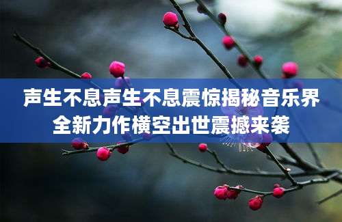声生不息声生不息震惊揭秘音乐界全新力作横空出世震撼来袭