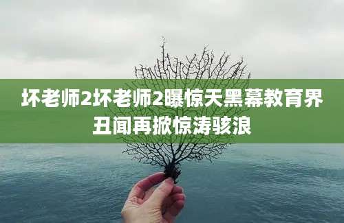 坏老师2坏老师2曝惊天黑幕教育界丑闻再掀惊涛骇浪