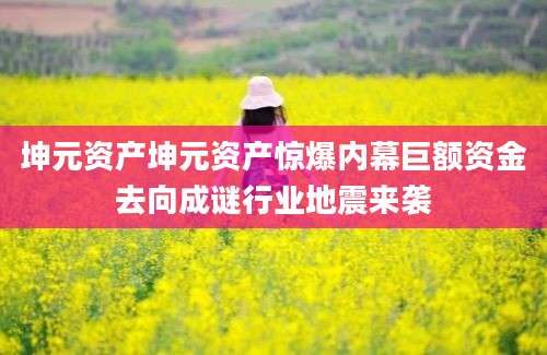 坤元资产坤元资产惊爆内幕巨额资金去向成谜行业地震来袭