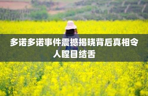 多诺多诺事件震撼揭晓背后真相令人瞠目结舌