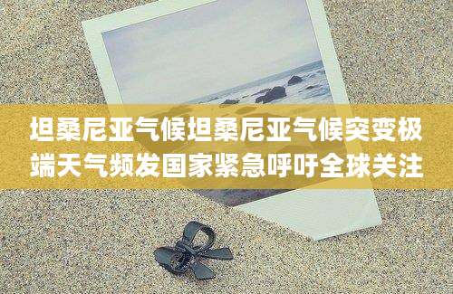 坦桑尼亚气候坦桑尼亚气候突变极端天气频发国家紧急呼吁全球关注