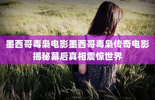 墨西哥毒枭电影墨西哥毒枭传奇电影揭秘幕后真相震惊世界