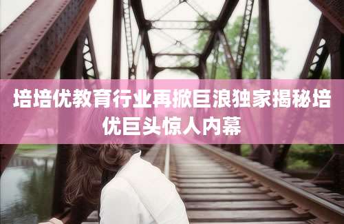 培培优教育行业再掀巨浪独家揭秘培优巨头惊人内幕