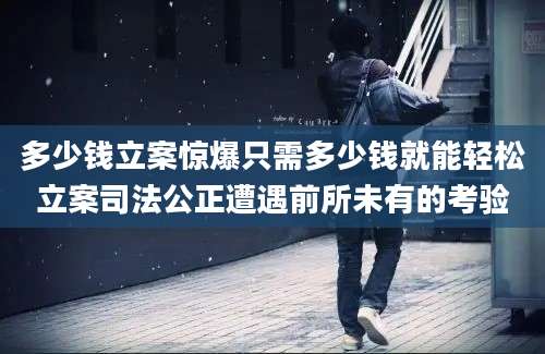 多少钱立案惊爆只需多少钱就能轻松立案司法公正遭遇前所未有的考验