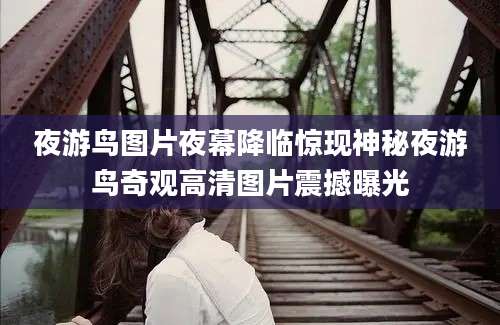 夜游鸟图片夜幕降临惊现神秘夜游鸟奇观高清图片震撼曝光