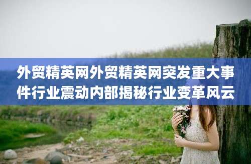 外贸精英网外贸精英网突发重大事件行业震动内部揭秘行业变革风云