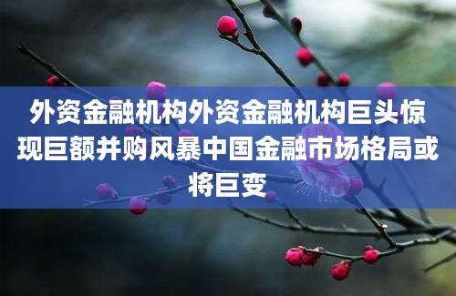 外资金融机构外资金融机构巨头惊现巨额并购风暴中国金融市场格局或将巨变