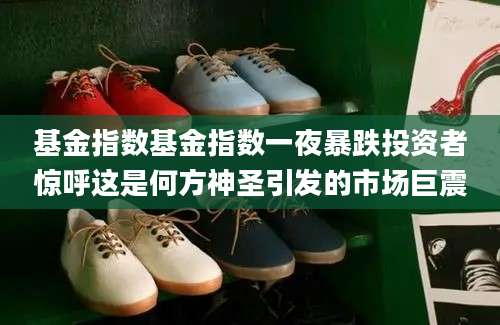 基金指数基金指数一夜暴跌投资者惊呼这是何方神圣引发的市场巨震