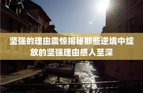坚强的理由震惊揭秘那些逆境中绽放的坚强理由感人至深