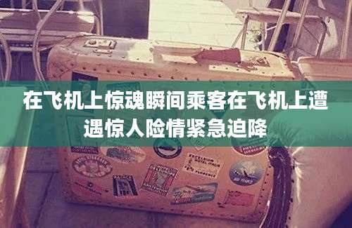在飞机上惊魂瞬间乘客在飞机上遭遇惊人险情紧急迫降