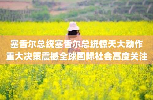 塞舌尔总统塞舌尔总统惊天大动作重大决策震撼全球国际社会高度关注