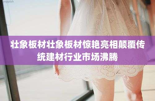 壮象板材壮象板材惊艳亮相颠覆传统建材行业市场沸腾