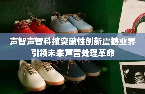 声智声智科技突破性创新震撼业界引领未来声音处理革命