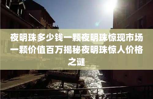 夜明珠多少钱一颗夜明珠惊现市场一颗价值百万揭秘夜明珠惊人价格之谜