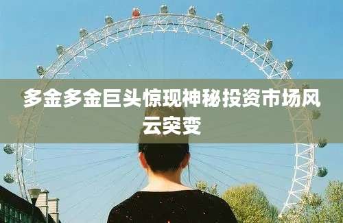 多金多金巨头惊现神秘投资市场风云突变