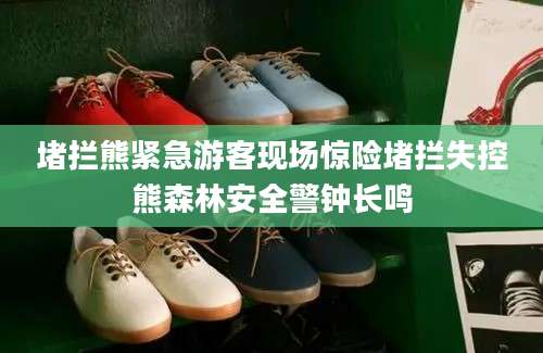 堵拦熊紧急游客现场惊险堵拦失控熊森林安全警钟长鸣